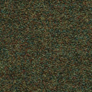 Flora 2_957  Kvadrat